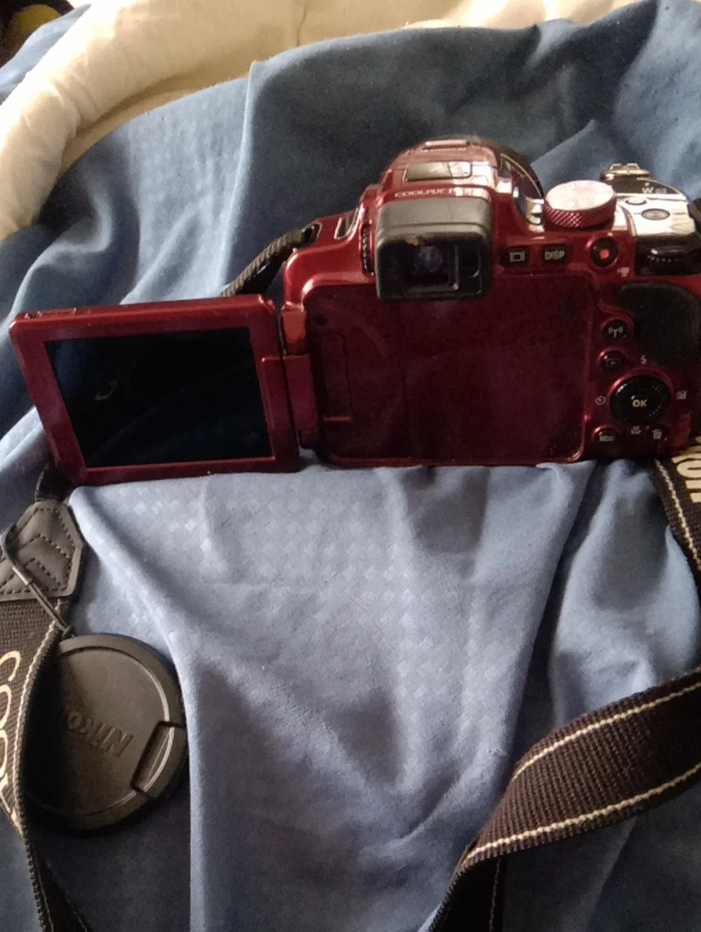 Nikon Red Bridge-Style Digital Camera with Lens